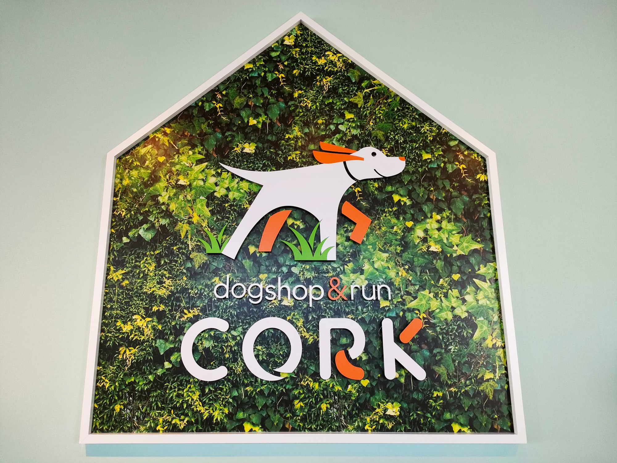 dog shop & run CORK_2024.06